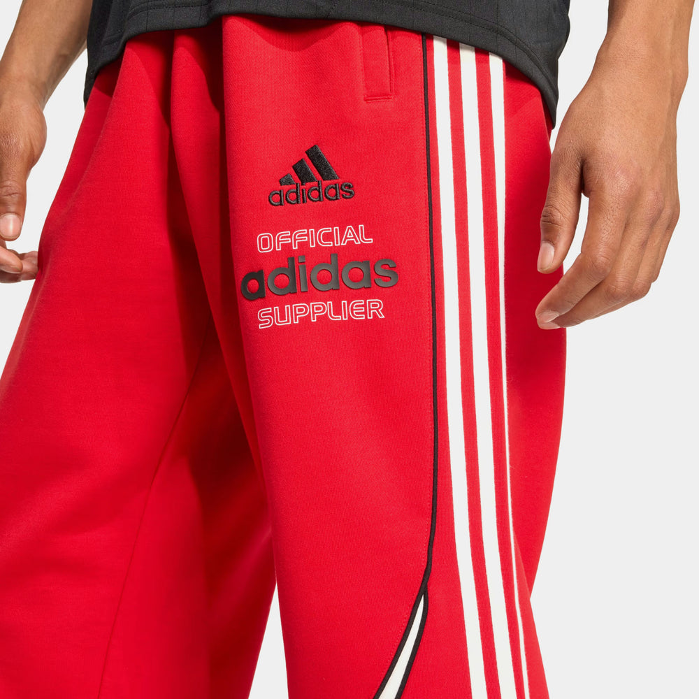 Брюки мужские adidas Teamgeist Graphic Fleece