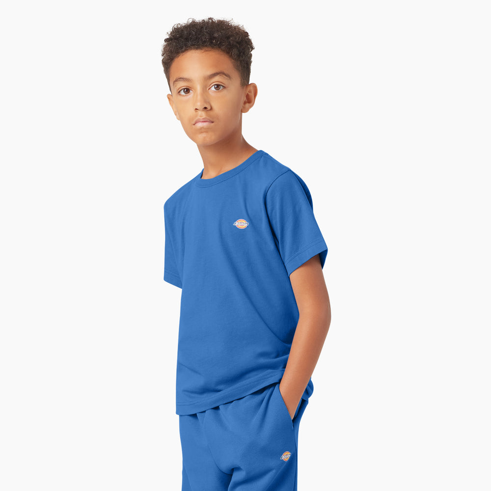 Футболка детская Dickies Mapleton