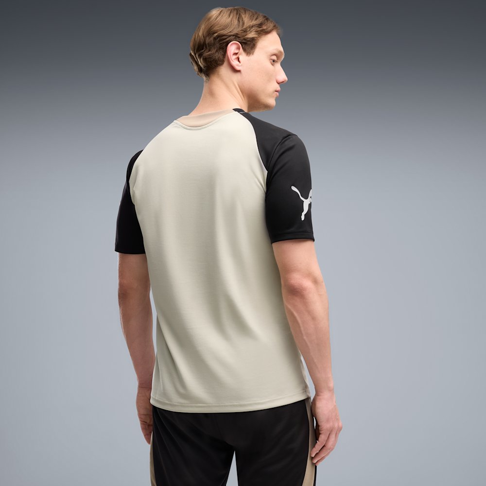 Футболка мужская PUMA individualFINAL