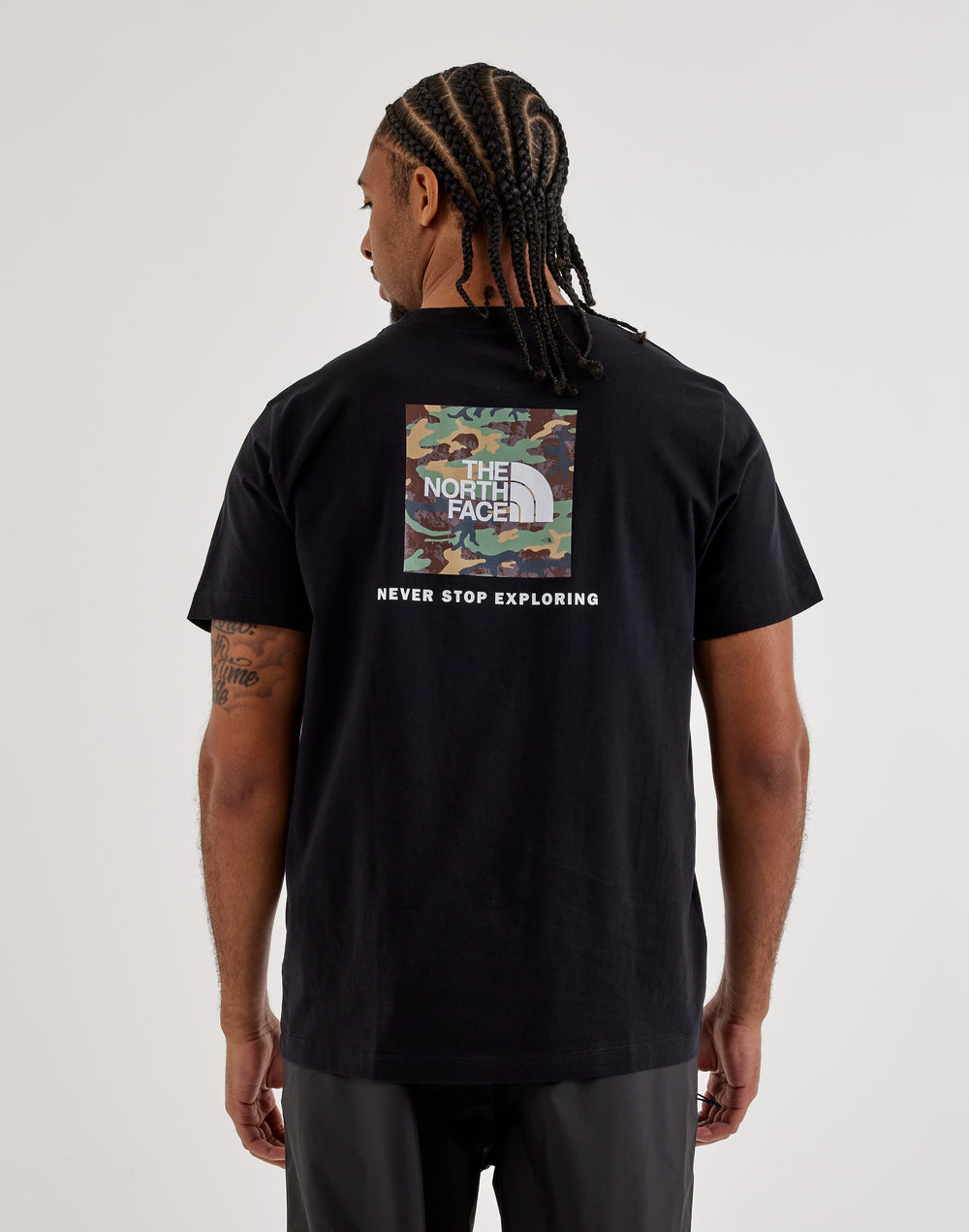 Футболка мужская The North Face Evolution Box Logo