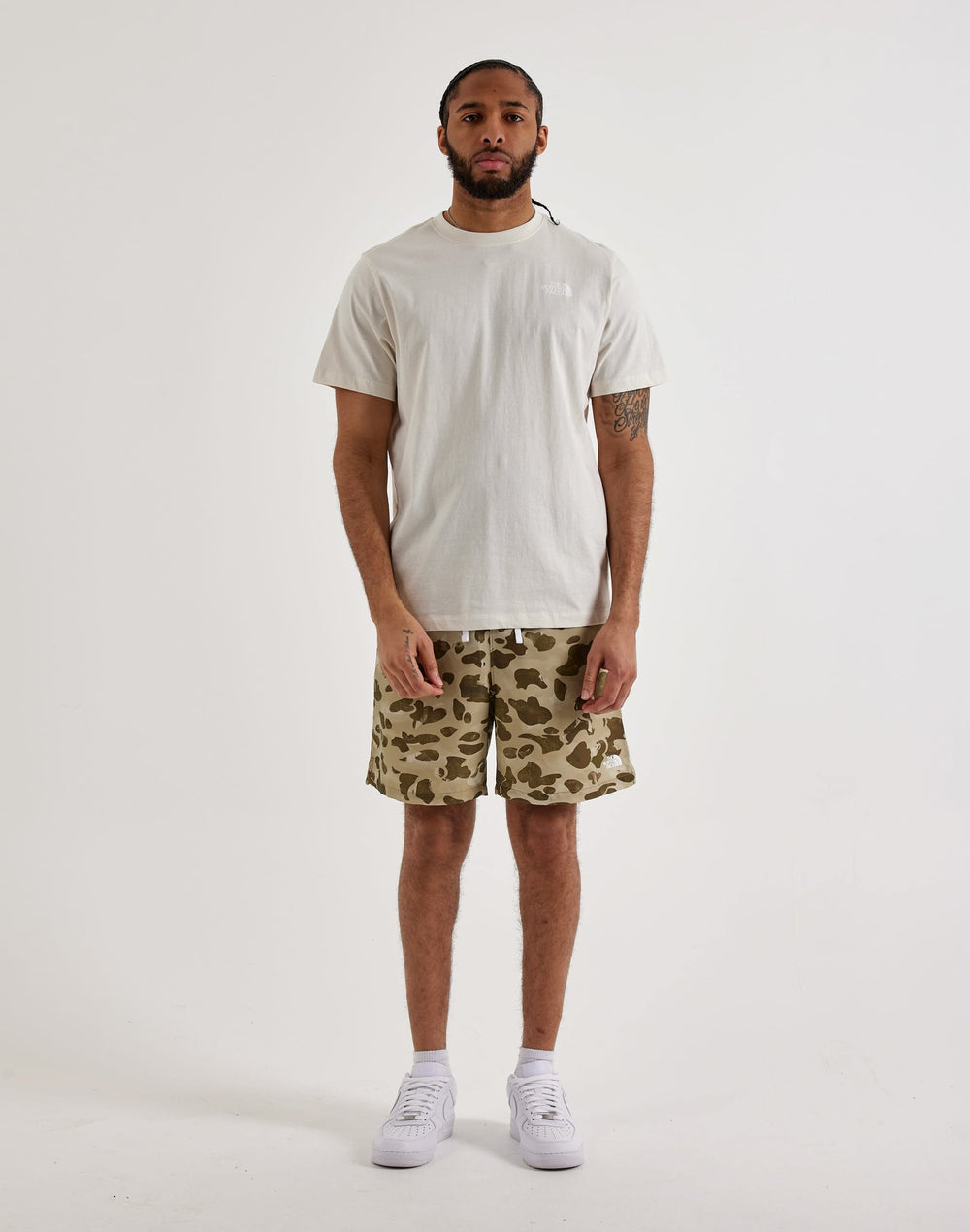 Футболка мужская The North Face Evolution Box Logo