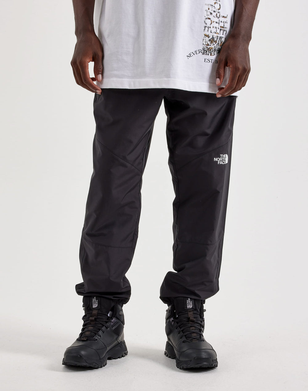 Брюки мужские The North Face Tacora 2000