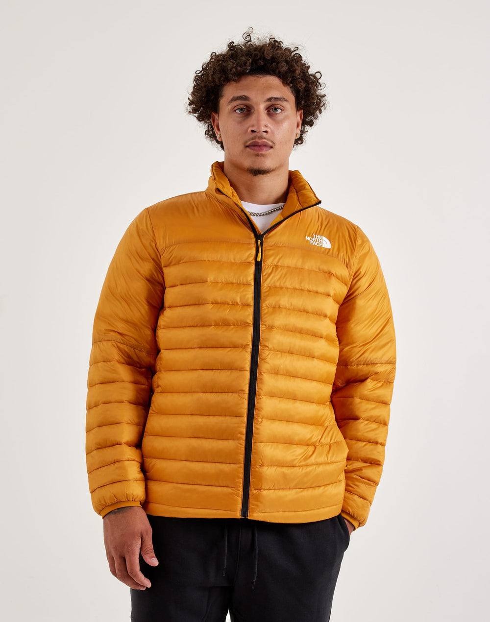 Куртка мужская The North Face Terra Peak