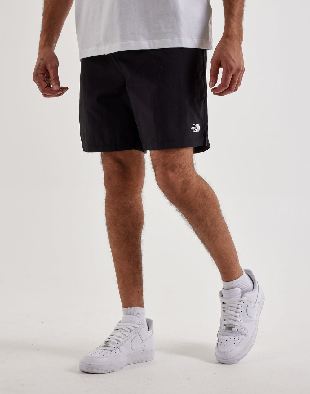 Шорты мужские The North Face Action 2.0