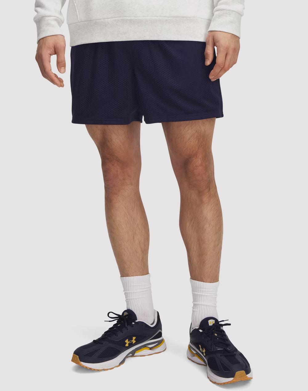 Шорты мужские Under Armour Icon Mesh