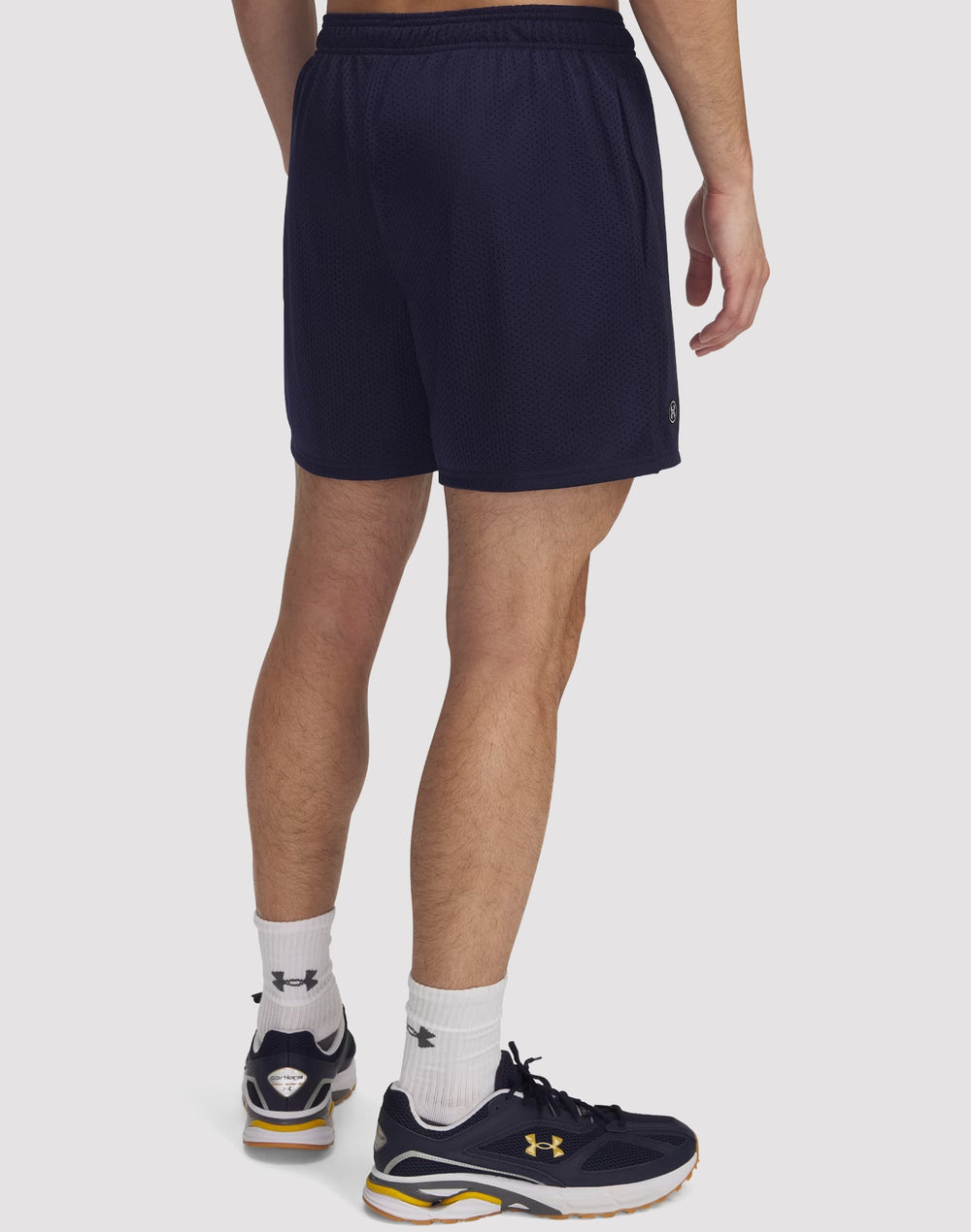 Шорты мужские Under Armour Icon Mesh